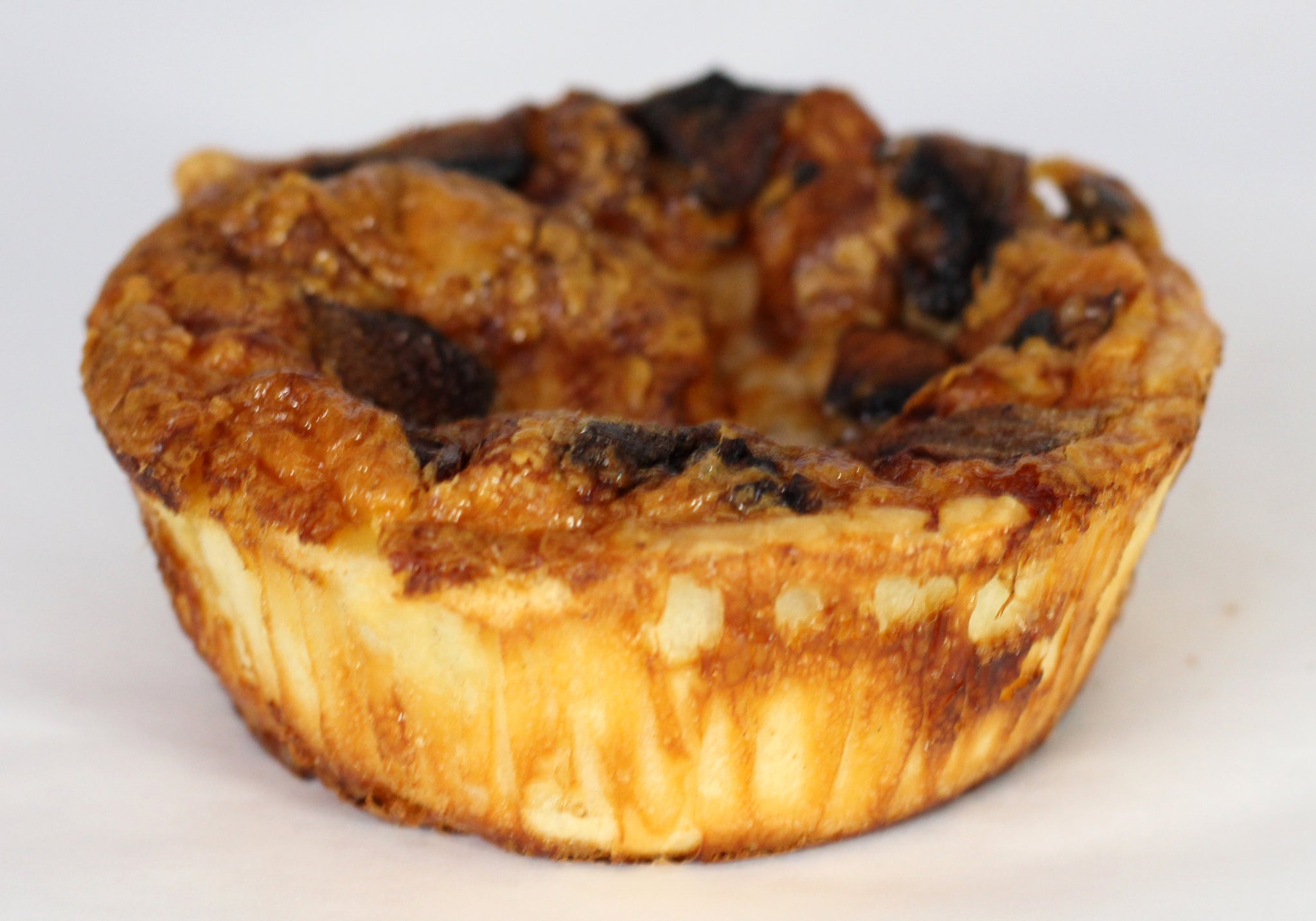 Quiche Family